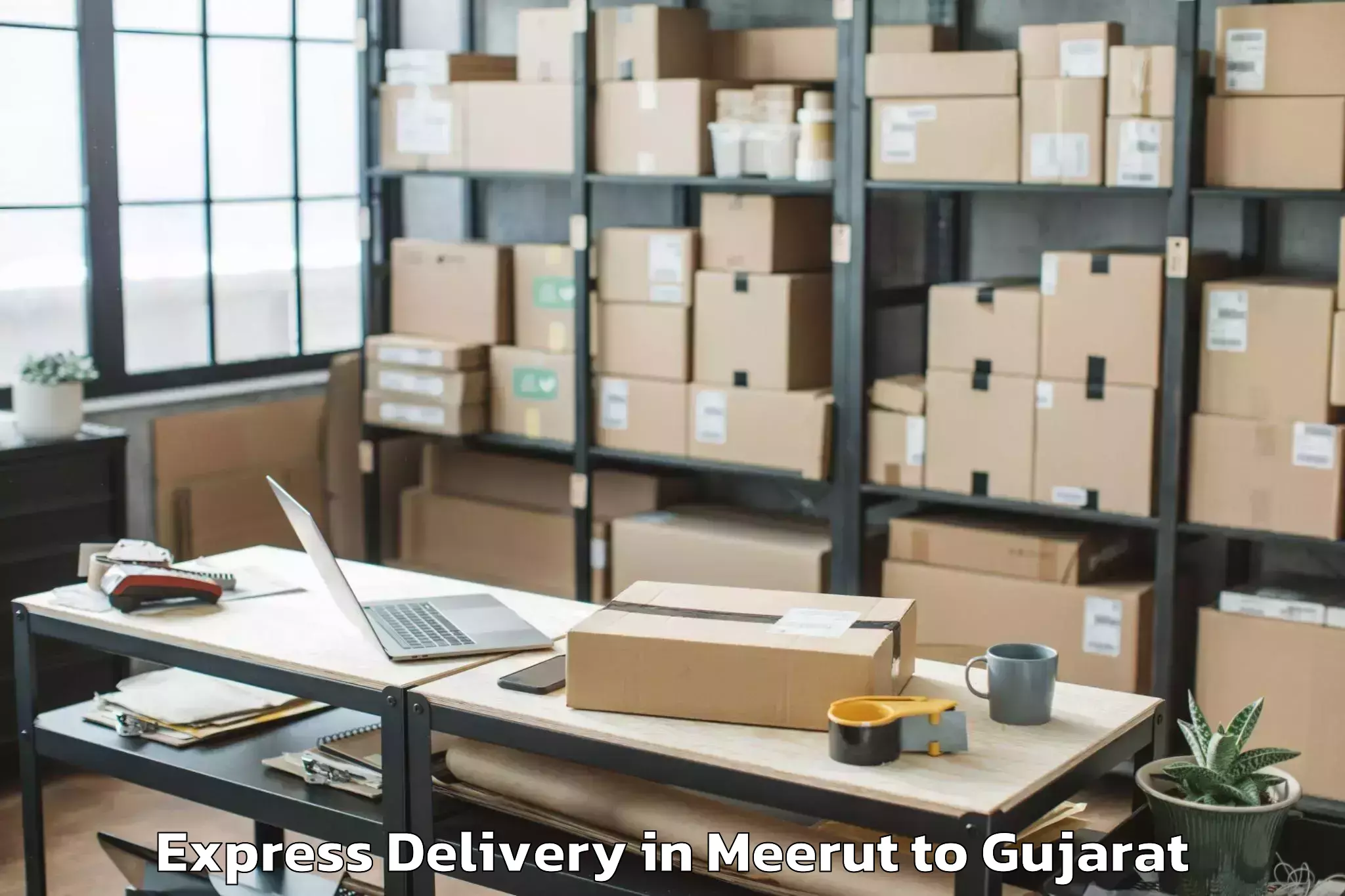 Affordable Meerut to Naliya Express Delivery